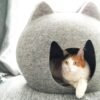 Large Enclosed Cat House Bed