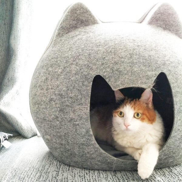 Large Enclosed Cat House Bed