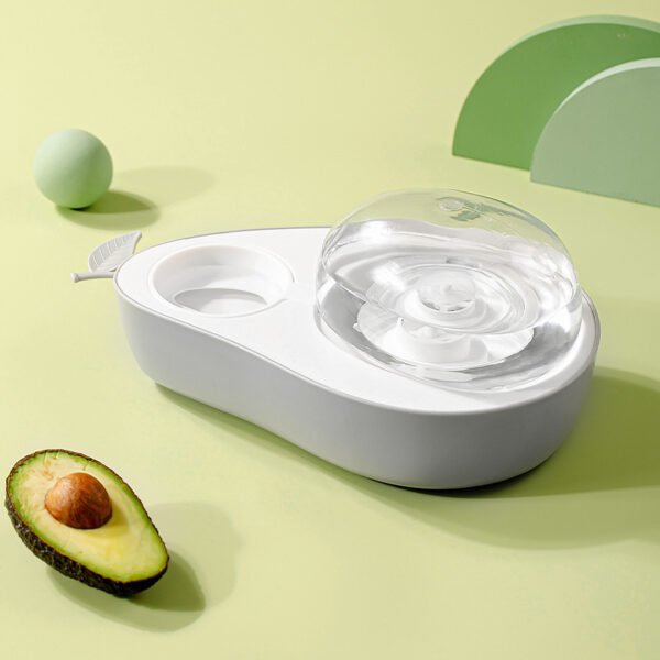 Avocado Paws Bowl