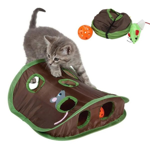 Kitty Quest Tunnel Treasure Hunt