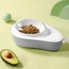 Avocado Paws Bowl