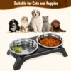 Elevated Cat Dine Set