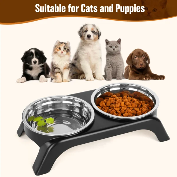 Elevated Cat Dine Set