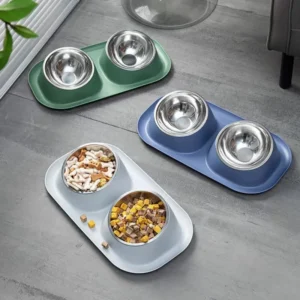 Non-Slip Duo Dish Cat Bowl