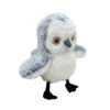 Kitty Kinetic Bird