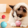 Smart Pounce Play Ball